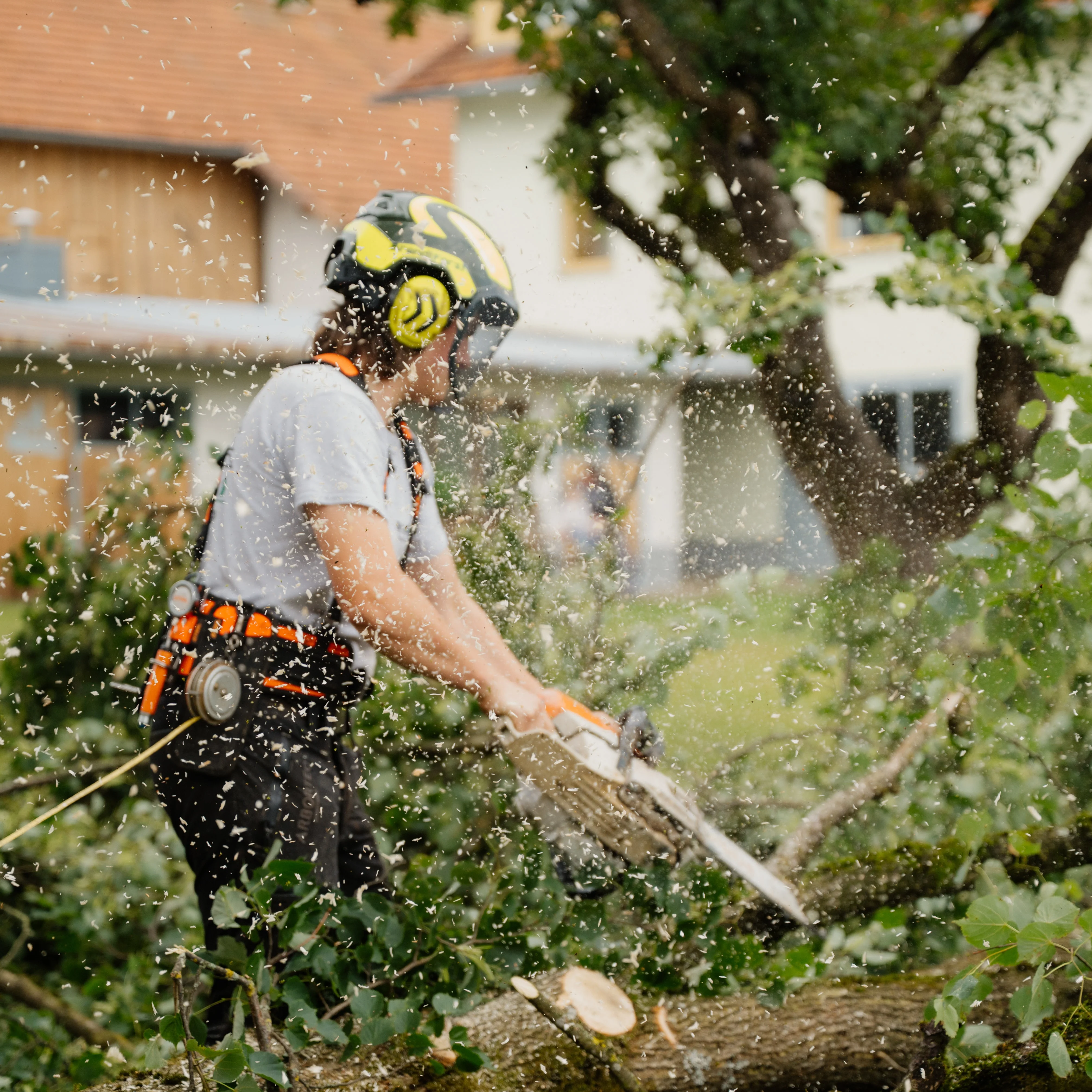 Baumfaellung Kranfaellung Brandlforst