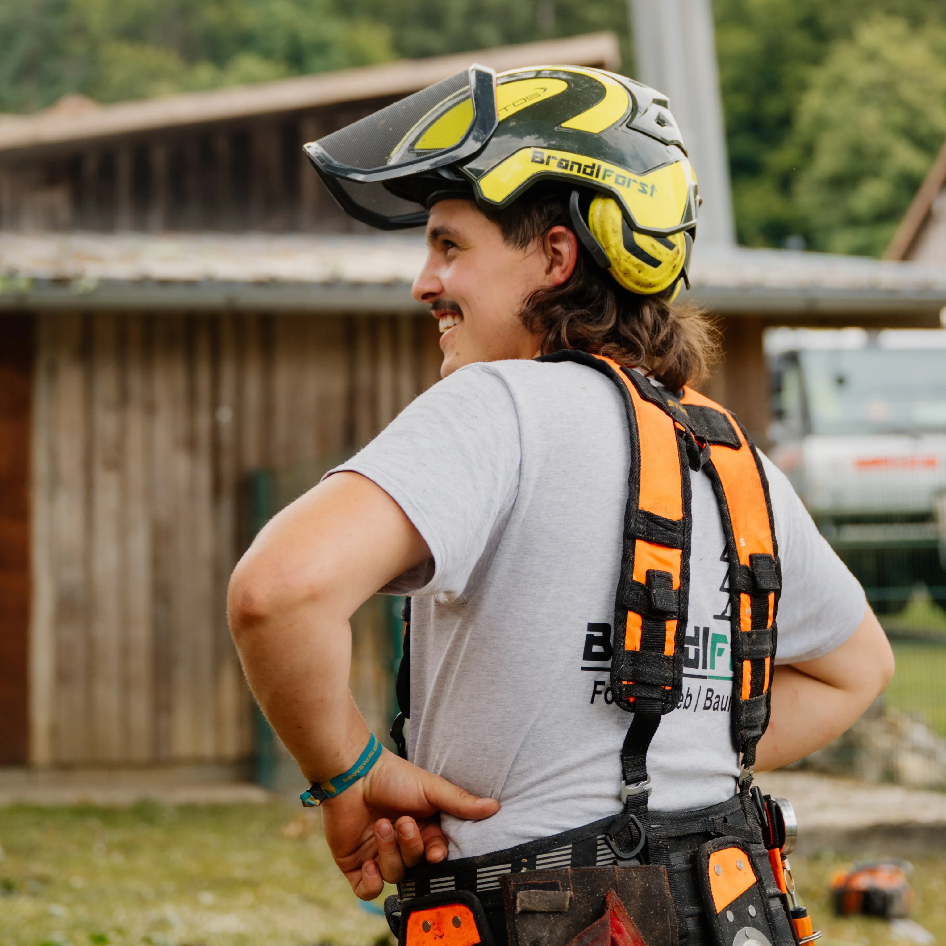 Baumfaellung Kranfaellung Brandlforst