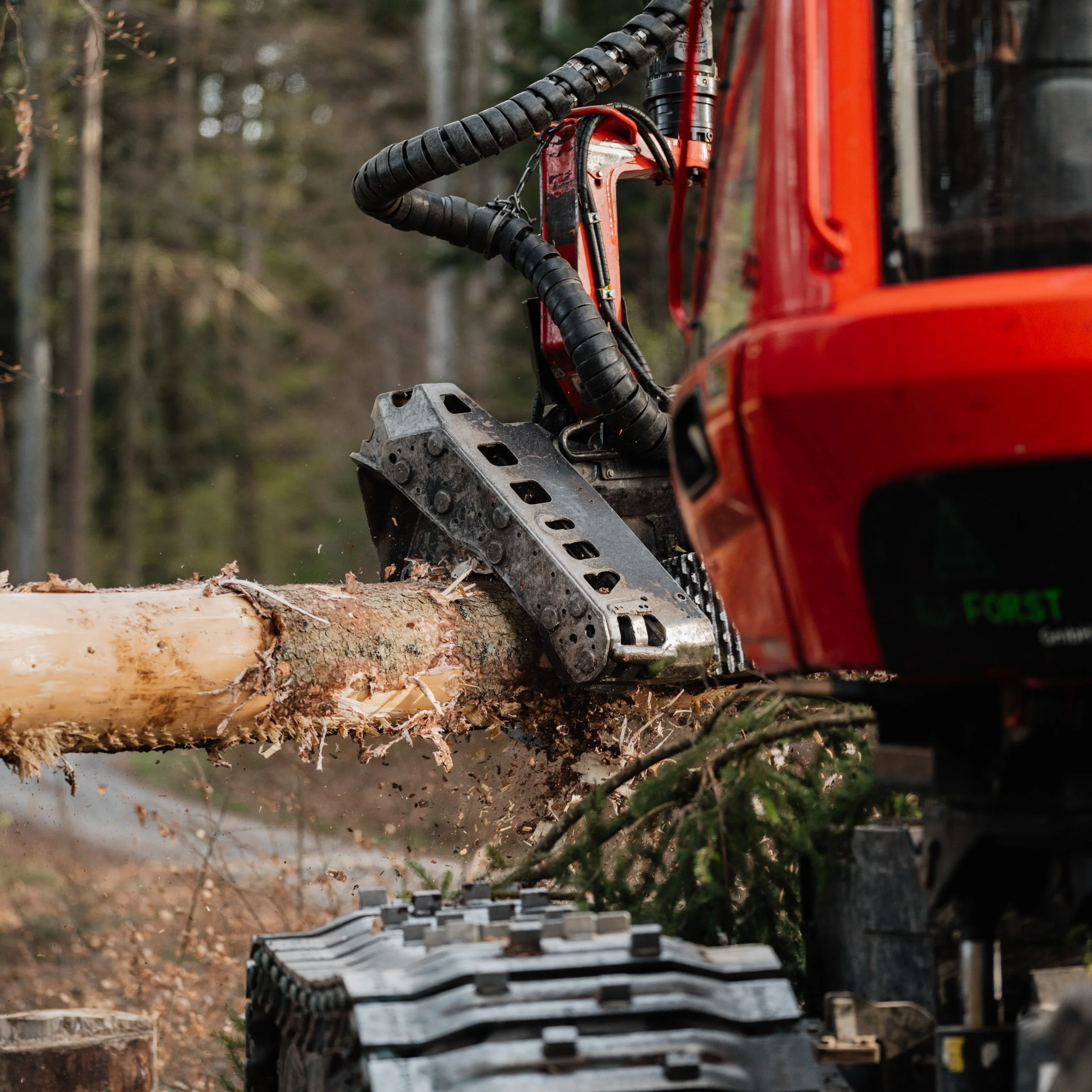 Forstbetrieb Holzernte Gjforst