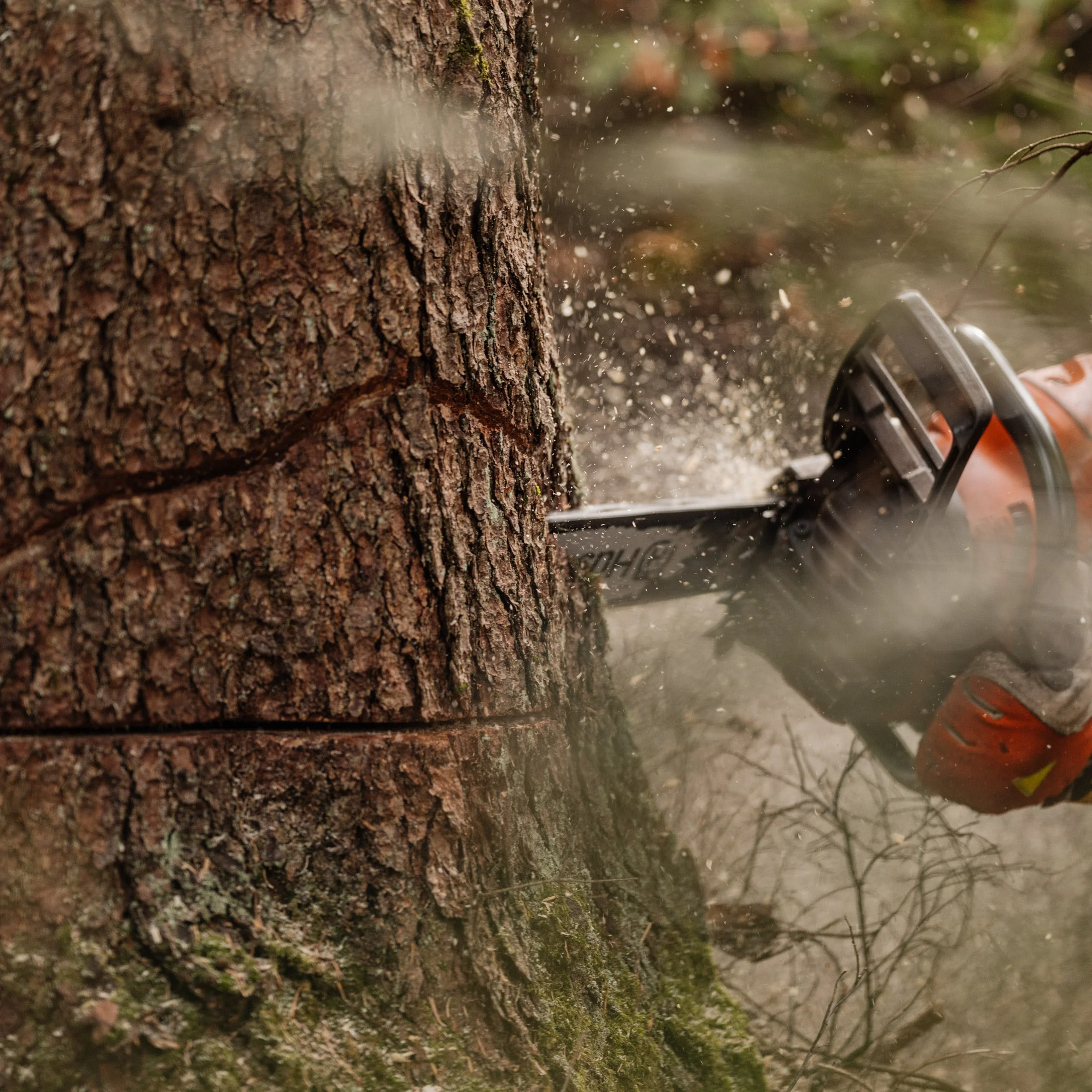 Forstbetrieb Holzernte Gjforst