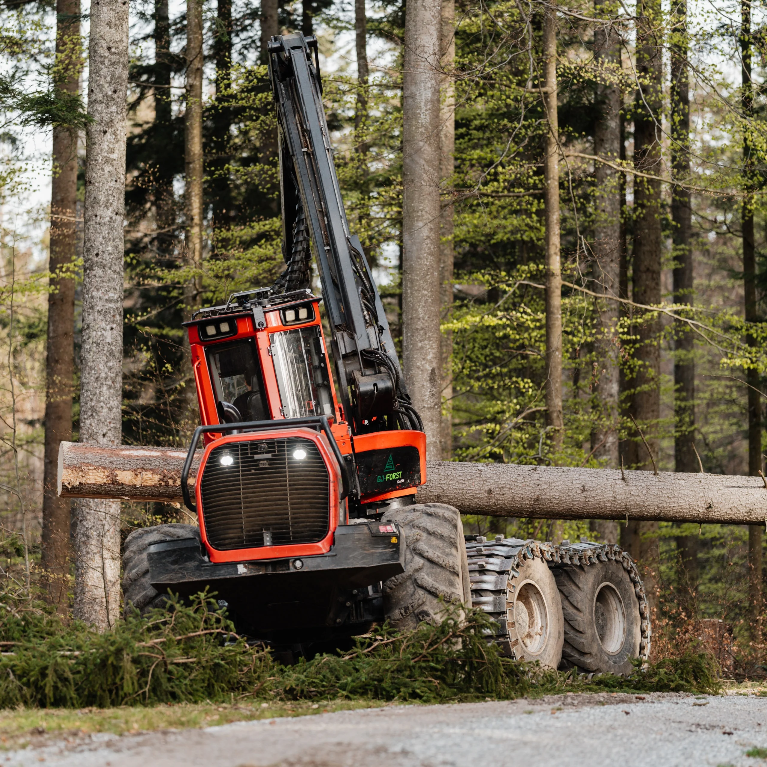 Forstbetrieb Holzernte Gjforst