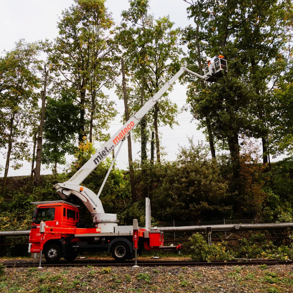 GJ-Forst GmbH - Referenz von woyd.media