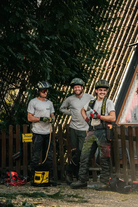 Drei Mitarbeiter der Brandl Forst nebeneinander