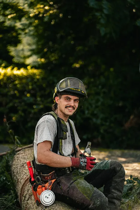 Mitarbeiter mit Helm und Motorsäge im Wald